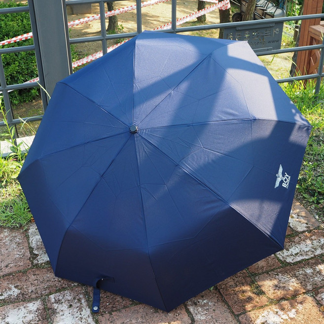 보이런던 튼튼한 3단 수동 우산 [실버독수리] (55x8K) 3단우산