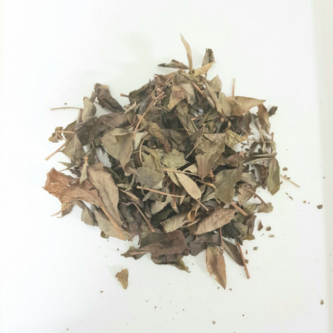 블루베리 햇잎차100g, 1개, 100개입, 100g