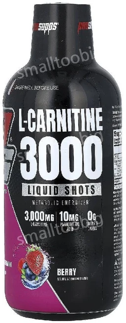 프로섭스 액상 엘 카르니틴 3000mg 베리 473ml 판토텐산 L carnitine, 1개 - 쿠팡
