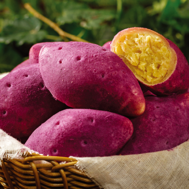 리얼 고구마빵 구황작물빵 고구마 대두식품 냉동생지, 1세트, 1.35kg