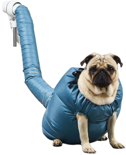 나있고 강아지 드라이 자켓 털말리는 옷, 1개, 블루