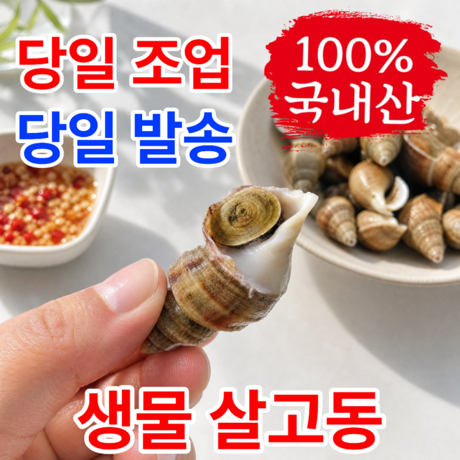 어부의뜰 국산 자연산 포항 생물 살고동 바다 고동 고추골뱅이 살고둥 고둥, 1개, 3kg 중소