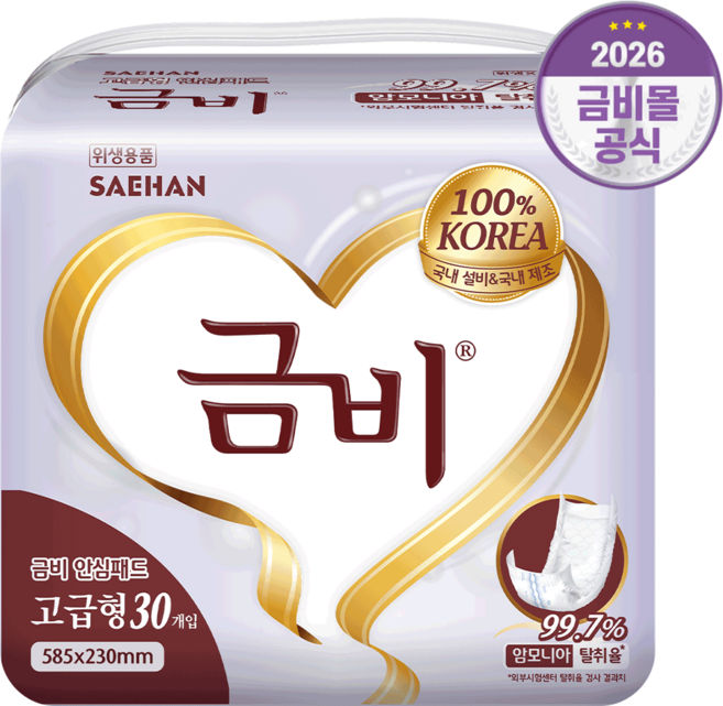 금비 일자(고급형) 실버패드 성인용 속기저귀 + 바디로션샘플, FREE(onesize), 1개, 30개입