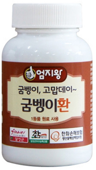 약초약선생 국산 굼벵이환 85g, 1개