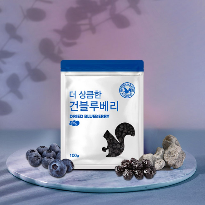 산과들에 건 블루베리 100g 2봉 200g 건과일, 2개