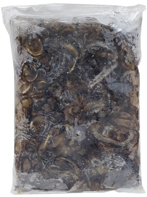 냉동 해삼채 (해삼65% 수분 35%), 1개