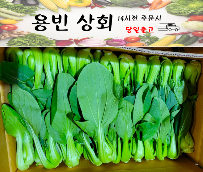 ( 용빈 상회 ) 국내산 청경채(상)등급 4kg 내외, 1박스