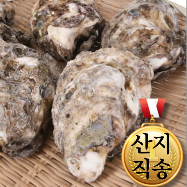 제철담다 거제 청정바다 생 바위굴 알 꽉찬 참굴 신선포장 당일발송, 1박스, 1kg