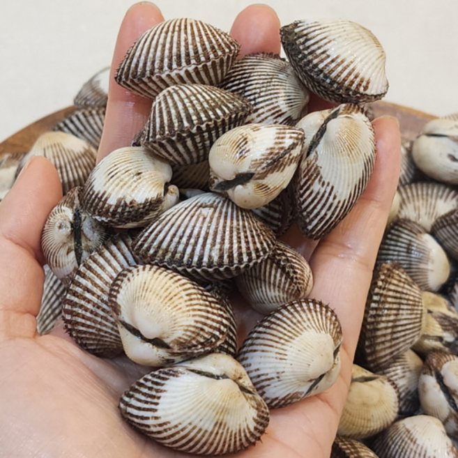 산지직송 여수 생물 새꼬막 탱글한 제철 꼬막 (소/중 3KG/6KG), 1박스, 중-6kg