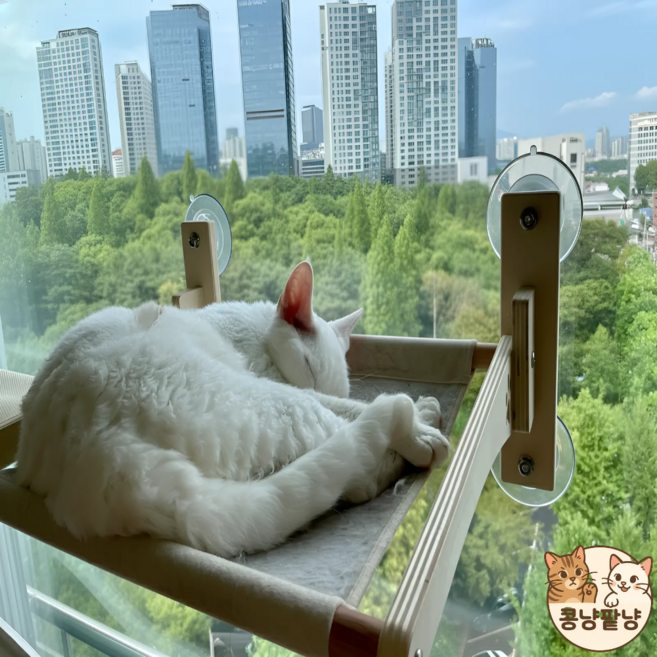 콩냥팥냥 원목 창문해먹 접이식, 1개, 아이보리