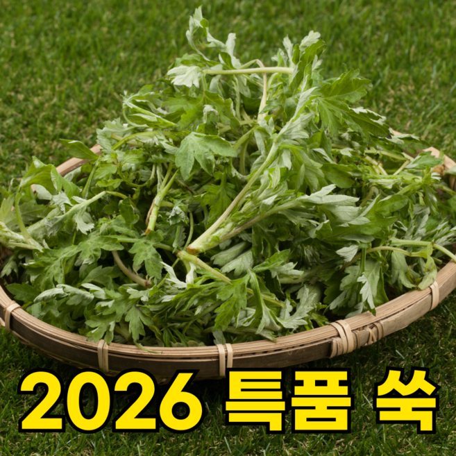 [단골1위농가] 국내산 생 노지 쑥, 1박스, 1kg