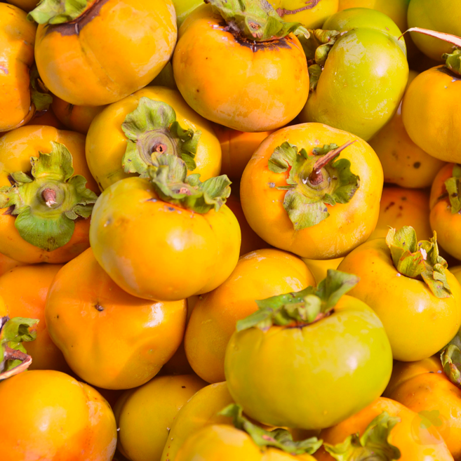 단감 가성비 좋은 가정용 단감 실속형 단감, 1박스, 10kg 랜덤과