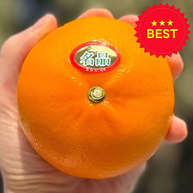 (산지 직송) 고당도 제주 천혜향, 1박스, 5KG 중과 (18~23과 일반 포장)