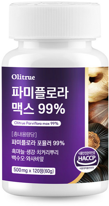 대용량 파미 플로라 99% 흑마늘 생강 식약청인증, 1개, 120정