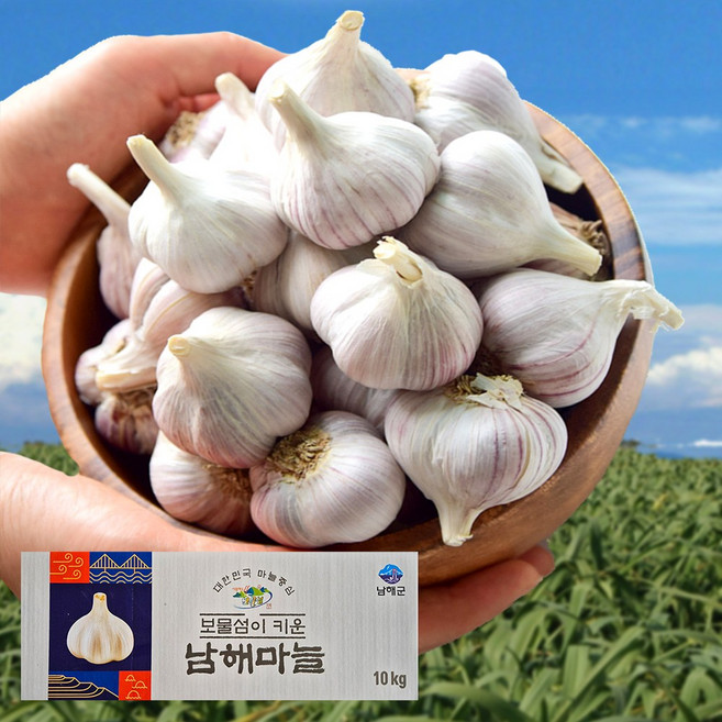 남해군 농협조공 햇 마늘 상등급 국산 남도마늘 통마늘 제철 채소 저장용 김장 요리 장아찌 garlic, 1박스, 상등급 800g