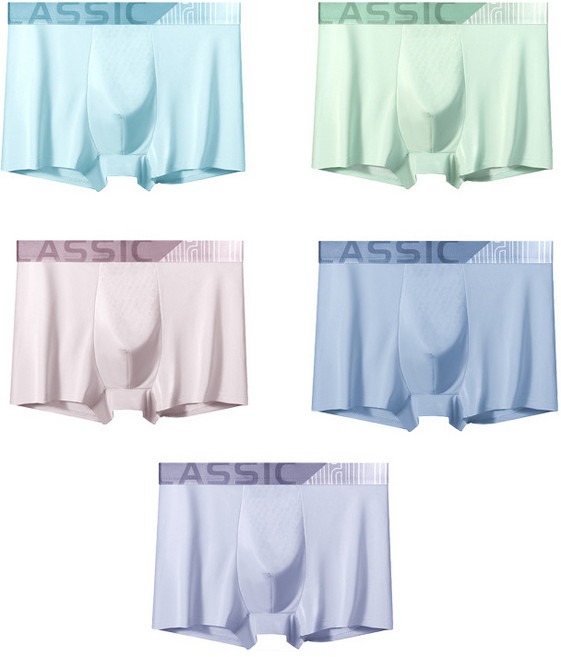 핑크프랑 아시스 실크 남성 사각팬티 5종 세트