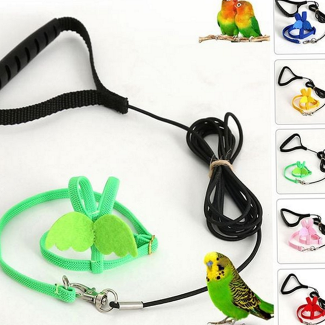 앵무새 하네스 산책줄 비행줄 애완조 앵무새 리드 줄 조류 날개형 반려조 목줄, L, 옐로우