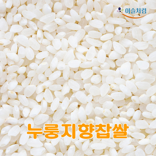 (무료배송) 향찹쌀 5kg 2025년산 국산 100% 구수한 누룽지향 설향찰 (상등급) 향찹쌀 5kg, 1개