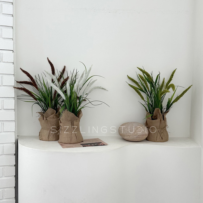 강아지풀 52cm 내츄럴 미니 조화 화분 테이블 갈대 장식 세트 포토존 만들기 홈 카페 인테리어, 1개, 브라운