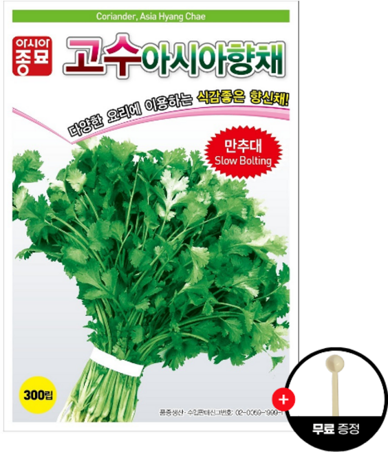 농업마켓365 아시아종묘 고수 xiangcai 아시아향채 300립 고수씨앗 고수종자, 1개