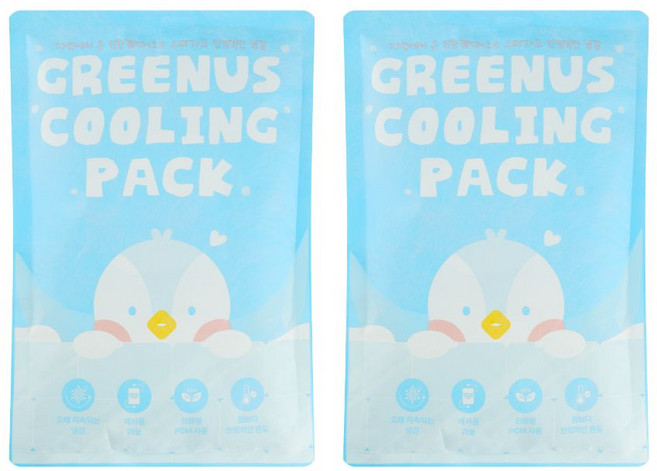 그린어스 쿨링 냉찜질팩 대형 사이즈 20X30 병원용 아이스팩 쿨팩 얼음마시지 국내생산, 2개