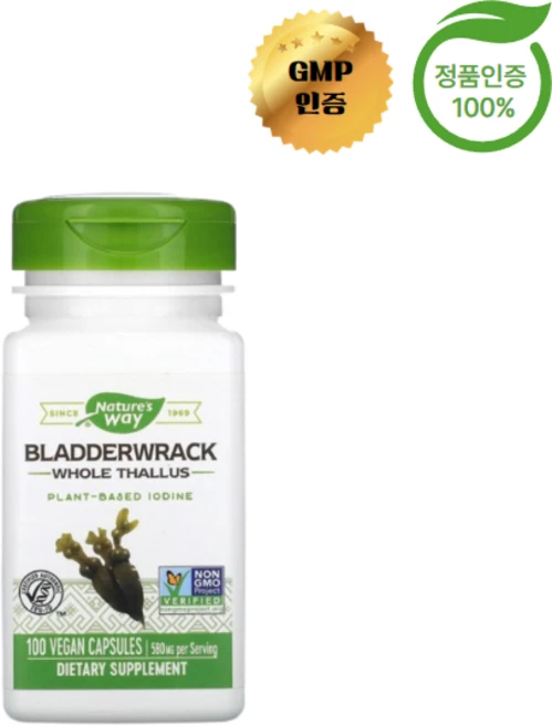 네이처스 웨이 블래더랙 580mg 100정, 1개 - 쿠팡