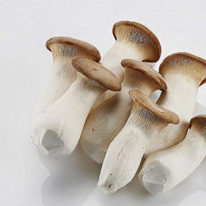 초록이네 무농약 친환경 새송이버섯, 1박스, 2kg(실속형)