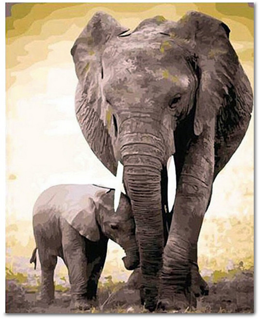 아디코 DIY 페인팅 명화그리기 40 x 50 cm PEE44, 엄마와 아기 코끼리, 1개