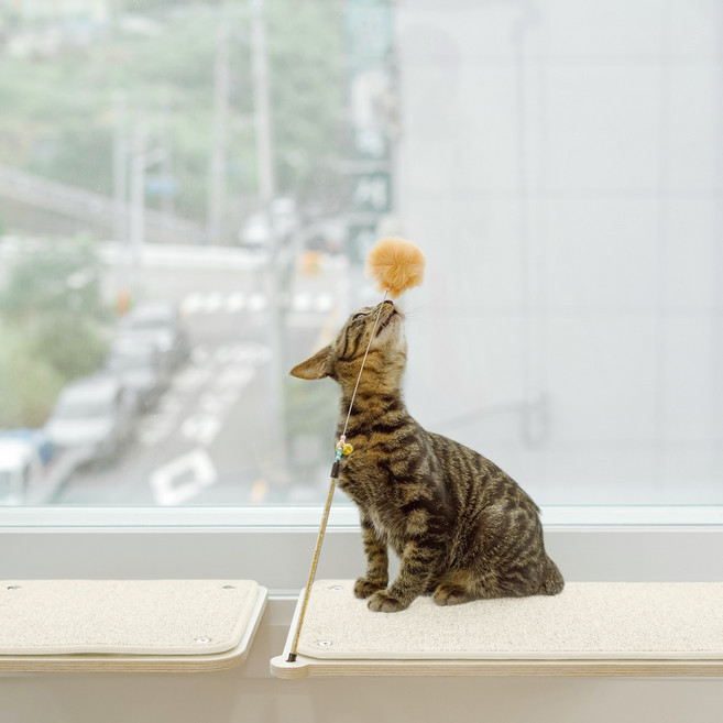 캣돌 고양이 창문 창틀 선반 해먹 캣타워, 소형(아이보리), 1개