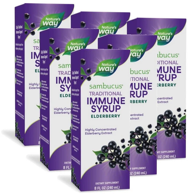 네이처스웨이 삼부커스 엘더베리 트레디셔널 이뮨 시럽 Nature's Way Sambucus Immune Syrup, 240ml, 6개 - 쿠팡