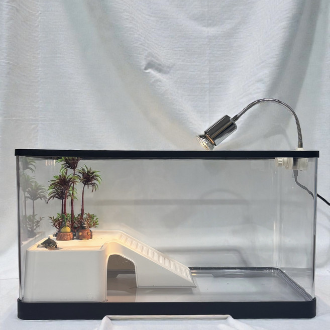 안깨지는 3세대 반수생 거북이 풀세트 어항, 1개, 블랙 거북이