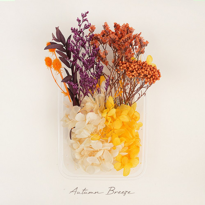 드라이 프리저브드 플라워 말린꽃 시들지 않는 꽃 프레스코21 보존화 종합팩 어텀브리즈, Forest Green(포레스트 그린)