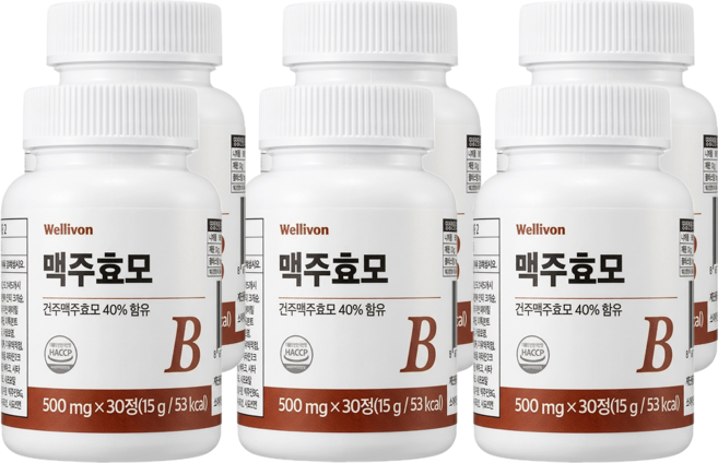 웰리본 맥주효모 500mg x 30정, 6개, 15g