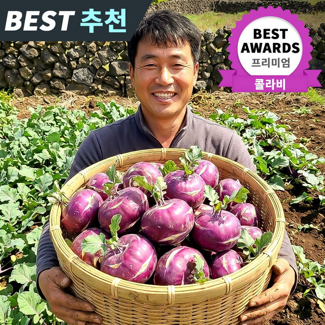 꿀팜즈 담백꿀맛 특품 제주 콜라비, 3kg, 1박스