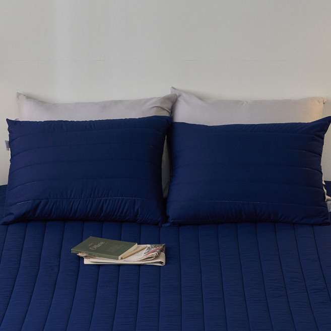 에메르 알러제로 다운필 슬로안 누빔 베개커버 2개세트