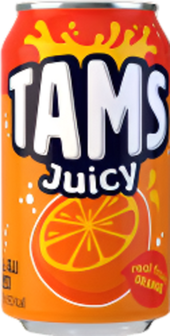 [블루존] 탐스 쥬시 오렌지 355ml 6개입, 6개