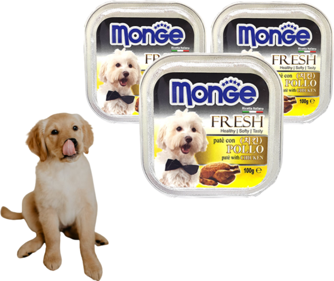 바우와우 강아지간식 훈련용간식 몽지 사각캔 치킨 100g, 1개