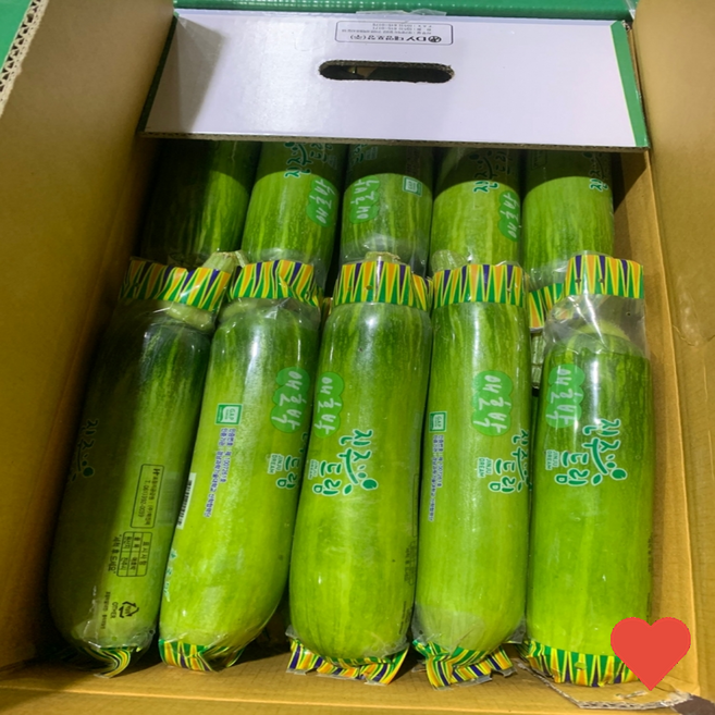 국내산 애호박 새벽경매 풋호박, 1개, 100g, 새벽경매 애호박 1개