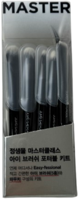 정샘물 마스터클래스 아이 브러쉬 포터블 키트 전문가용 눈화장 정교한, 1개, 단일