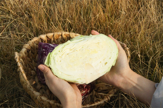 국내산 친환경 양배추 2통, 2개, 1.2kg