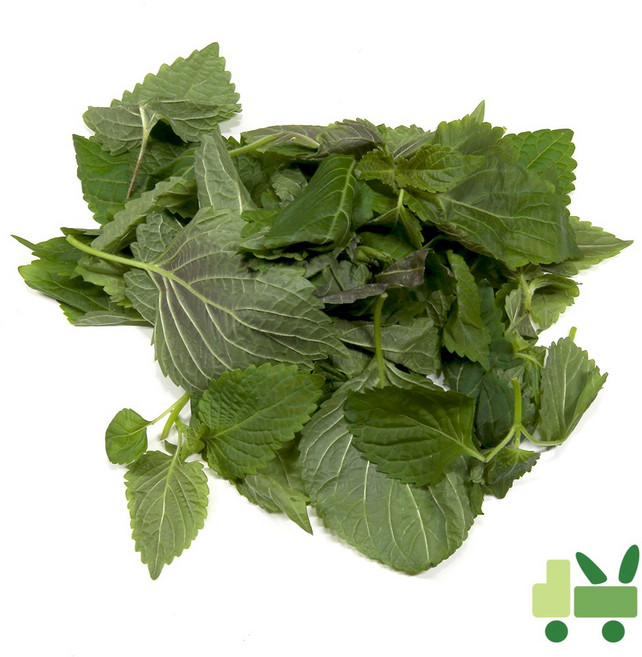 사라상회 깨순 (어린깻잎 깻순) 4kg, 1개