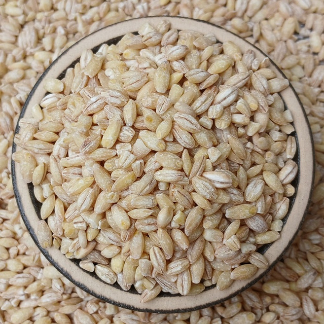 수입 미국산 보리 20kg (10kg 2개) (2025년산) 보리밥 보리쌀, 2개, 10kg