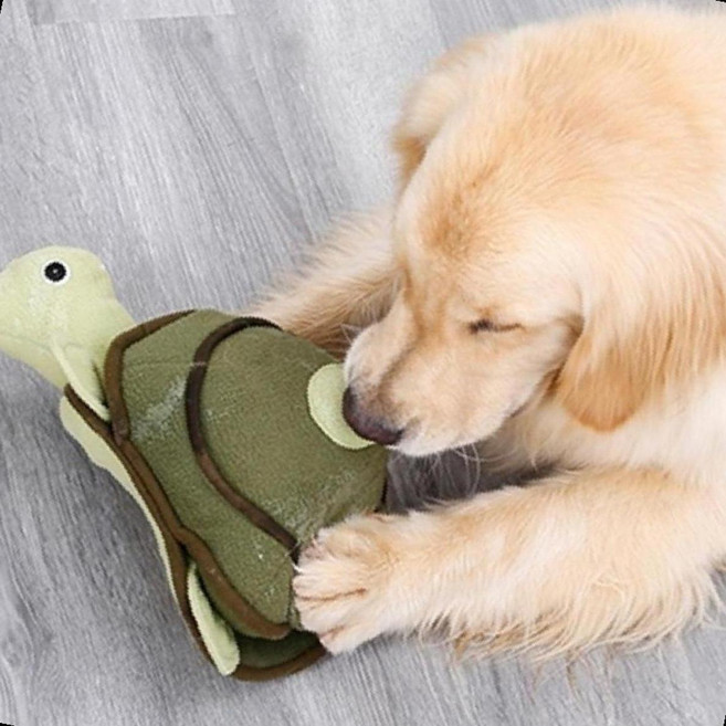 강아지놀이 터틀형 노즈워크 지능개발 간식 훈련, 1개