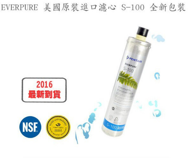 EVERPURE 美國原裝進口濾心 S-100 全新包裝 (2入), 1個