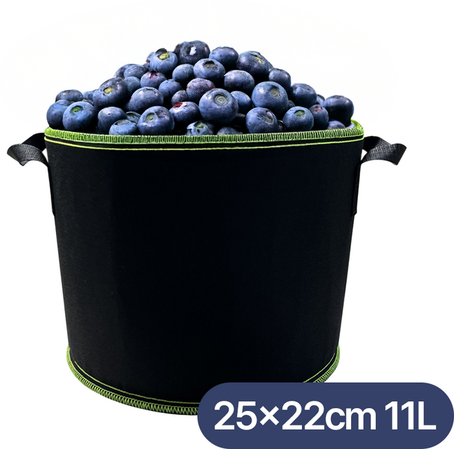 블루베리 부직포 화분 그로우백, 블랙