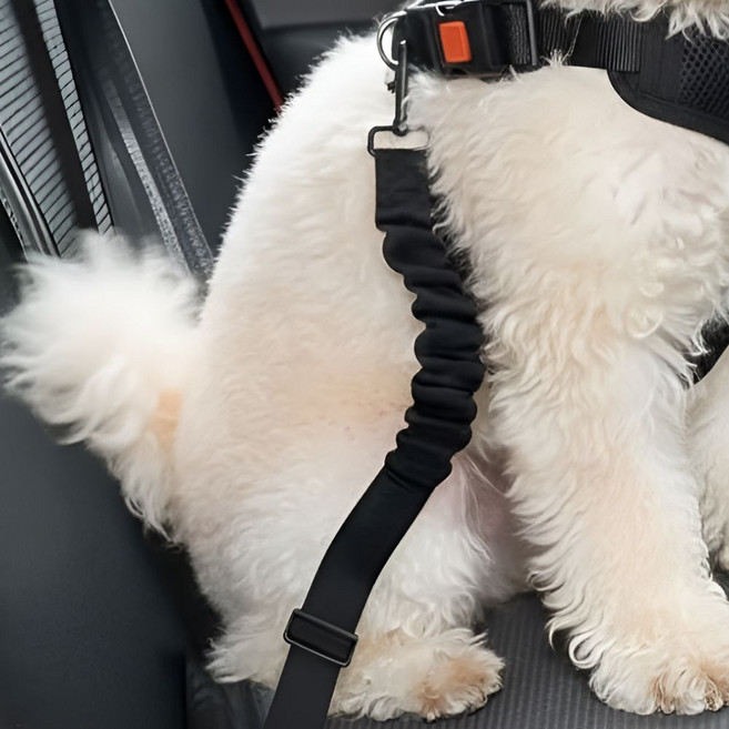 끼리온 반려동물용 카시트 안전벨트 애견용품, 1개, 블랙