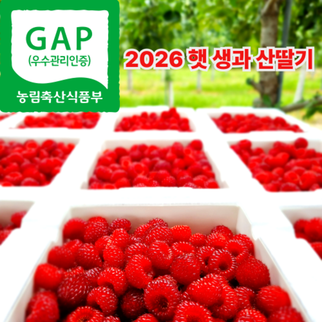 포항 햇 산딸기 냉동산딸기 산지직송 500g 1kg 2kg, 250g, 2개
