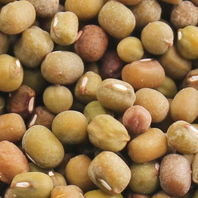 2025년 햇녹두볶음 당일볶음 국산100% 쌀아지매, 1개, 500g