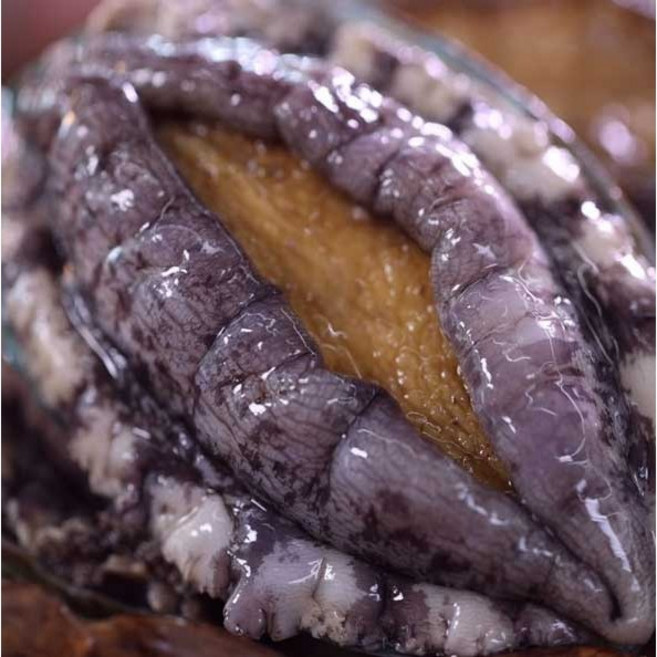 [파격할인][[해신수산]완도활전복 대 16~19미 1kg 산지직송(평일 오후2시 당일출고), 1개, 추가안함