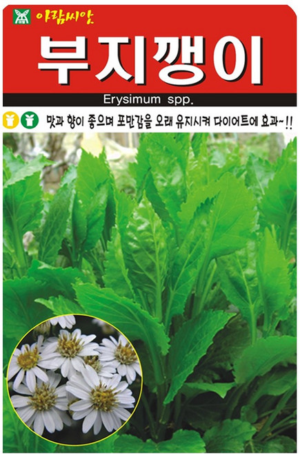 부지깽이 씨앗 종자 민속류 채소 야채 잎채소 향신채 섬쑥부쟁이 약초, 2개